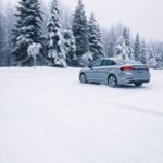 snow performance of sonata