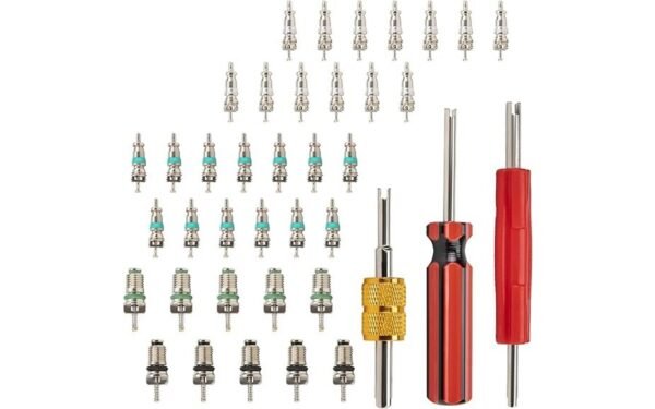 comprehensive valve core kit