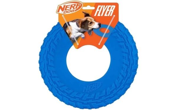 durable fun outdoor toy