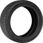 lionhart ramani tire evaluation