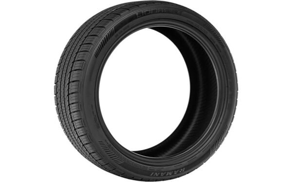 lionhart ramani tire evaluation